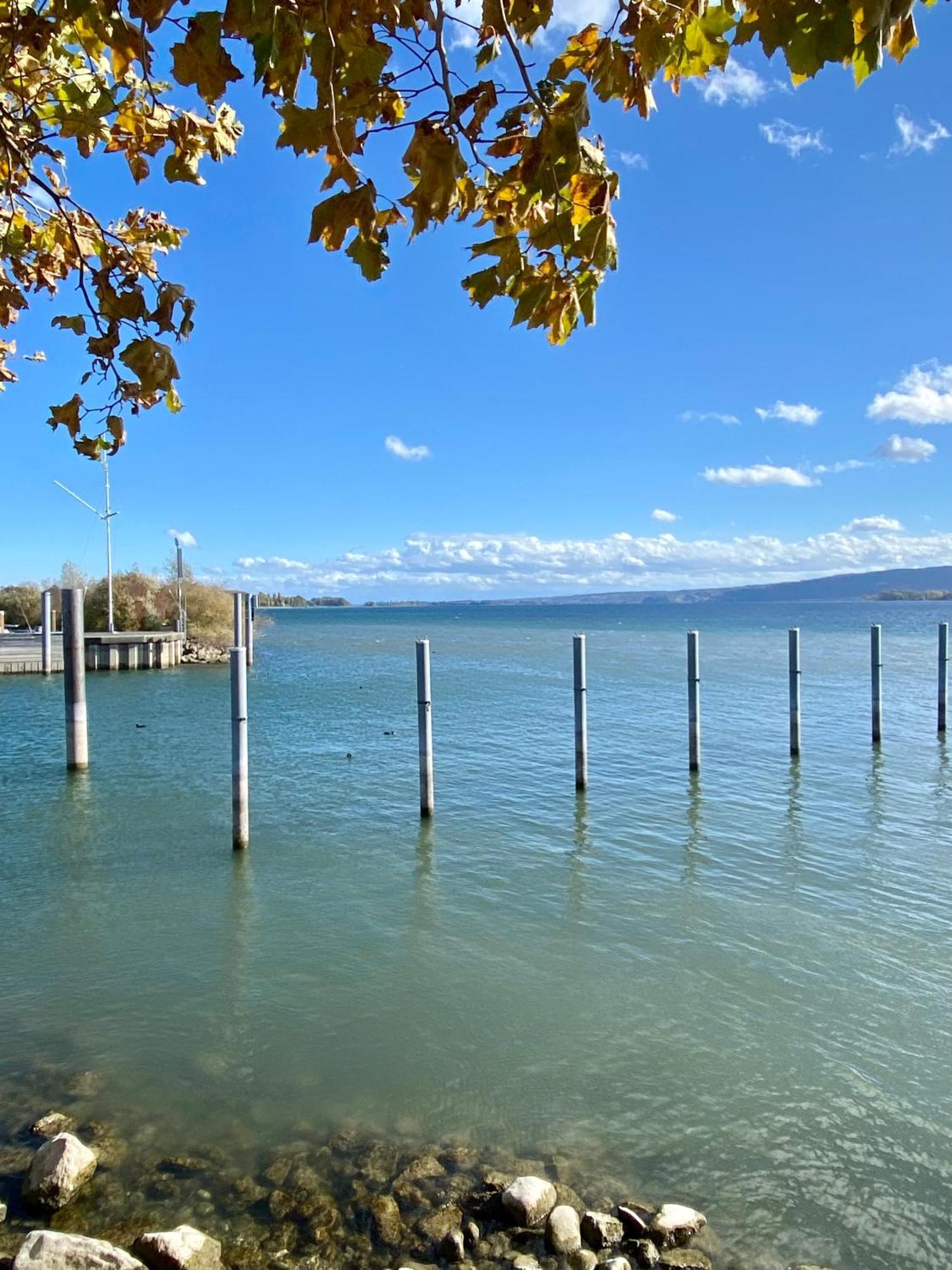 Ferienwohnung Seeromantik In 2 Minuten Am See 라돌프젤암보덴시 외부 사진